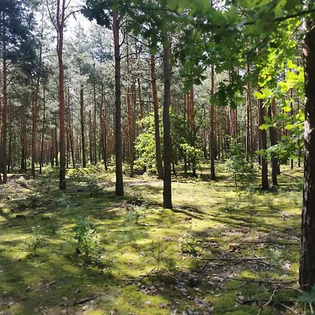 Wiejski W Siedlisku Pod Orzechem * Przylek