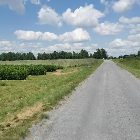 Wiejski W Siedlisku Pod Orzechem * Przylek