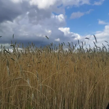 Apartamento Wiejski W Siedlisku Pod Orzechem *