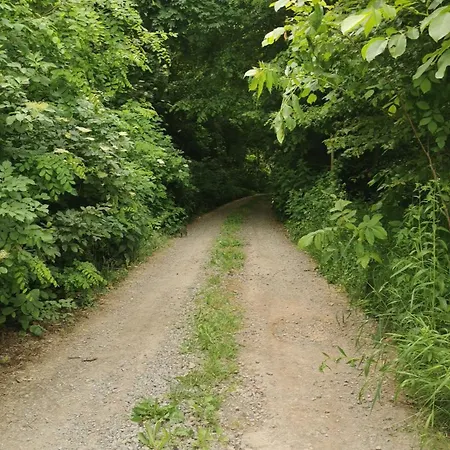 Wiejski W Siedlisku Pod Orzechem Apartamento Przylek