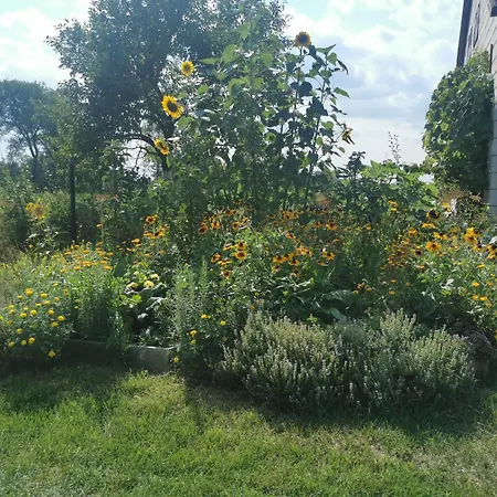 Wiejski W Siedlisku Pod Orzechem Przylek