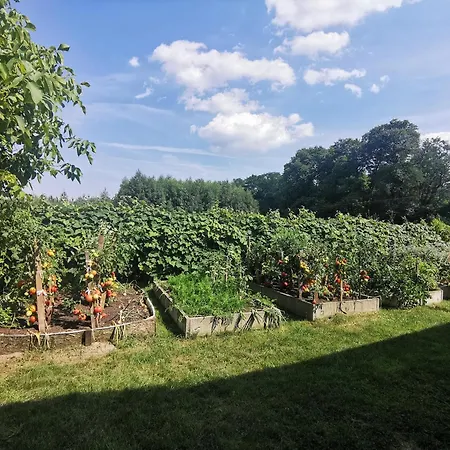 Wiejski W Siedlisku Pod Orzechem *