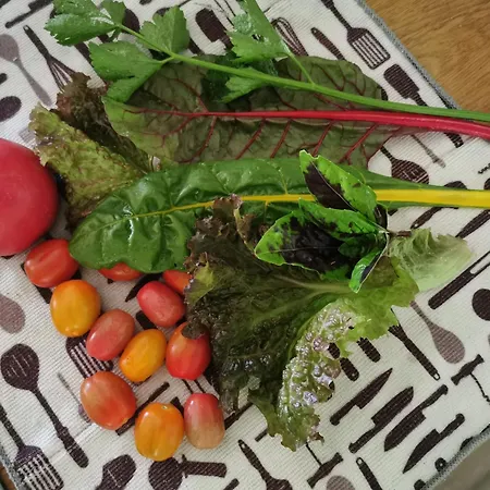 Apartamento Wiejski W Siedlisku Pod Orzechem *