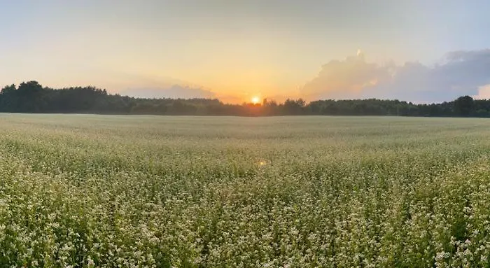 Wiejski W Siedlisku Pod Orzechem Apartmán *