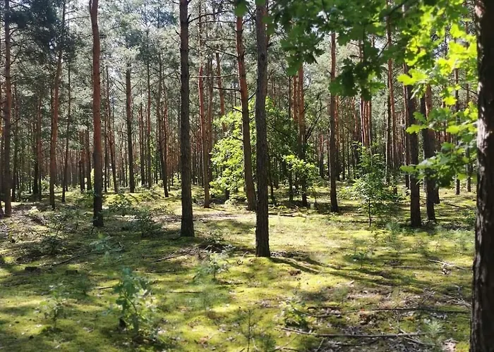 Wiejski W Siedlisku Pod Orzechem * Przylek