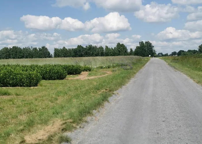 Wiejski W Siedlisku Pod Orzechem * Przylek