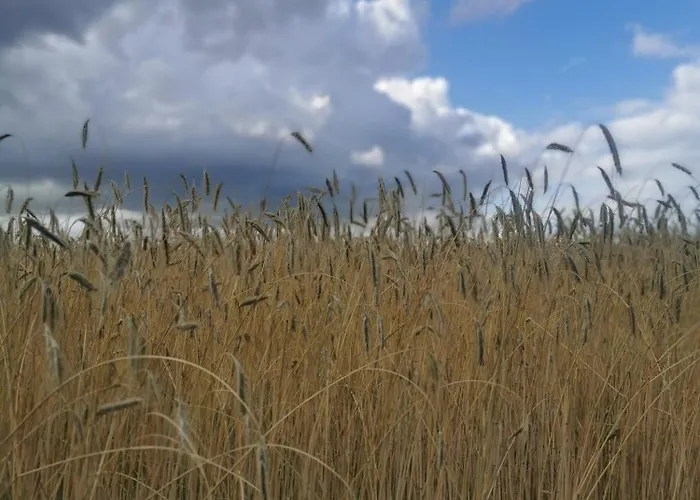 Апартаменты Wiejski W Siedlisku Pod Orzechem *