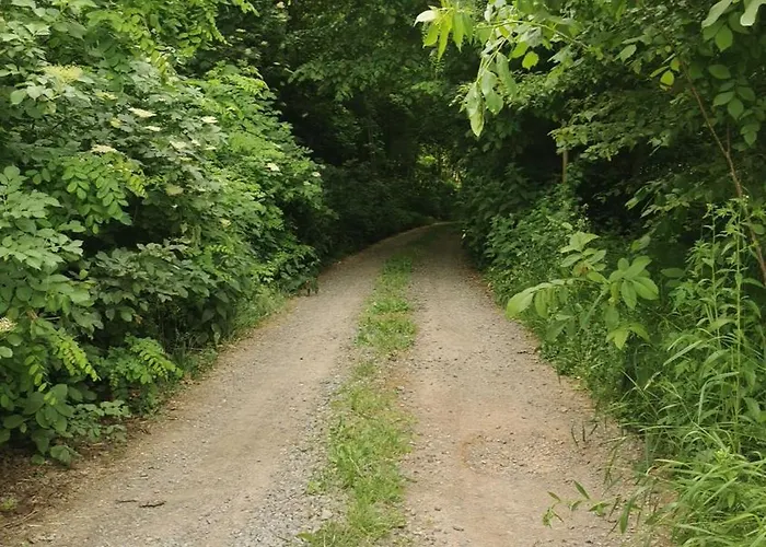 Wiejski W Siedlisku Pod Orzechem Апартаменты Przylek