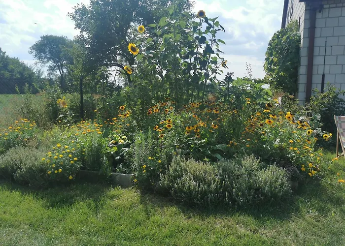 Wiejski W Siedlisku Pod Orzechem Przylek