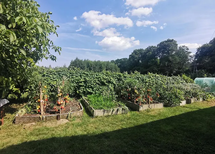 Wiejski W Siedlisku Pod Orzechem *