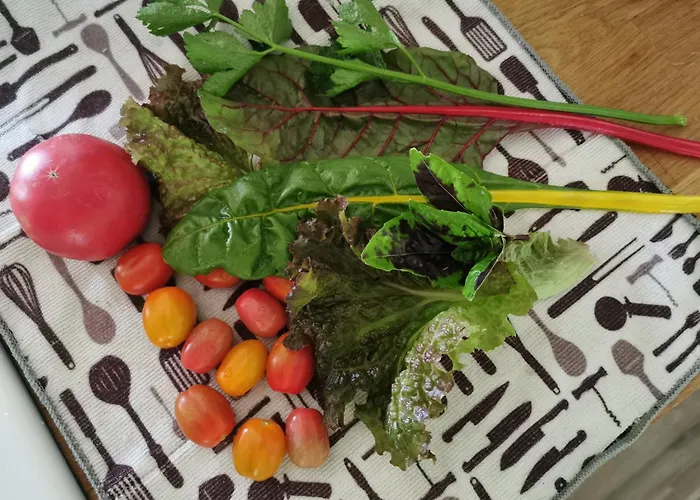 Апартаменты Wiejski W Siedlisku Pod Orzechem *